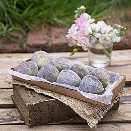 动作肉鸽游戏《灵魂石幸存者》正式发售 Steam“特别好评”